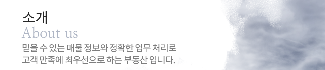 퀸공인중개사사무소사업개요